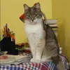 Отзыв от Алевтина Панина